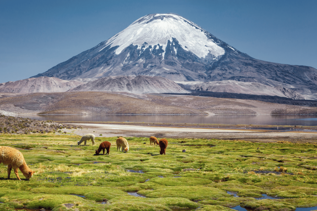 60+ Ökum. Nachmittag – Vortrag mit Bildern aus Chile