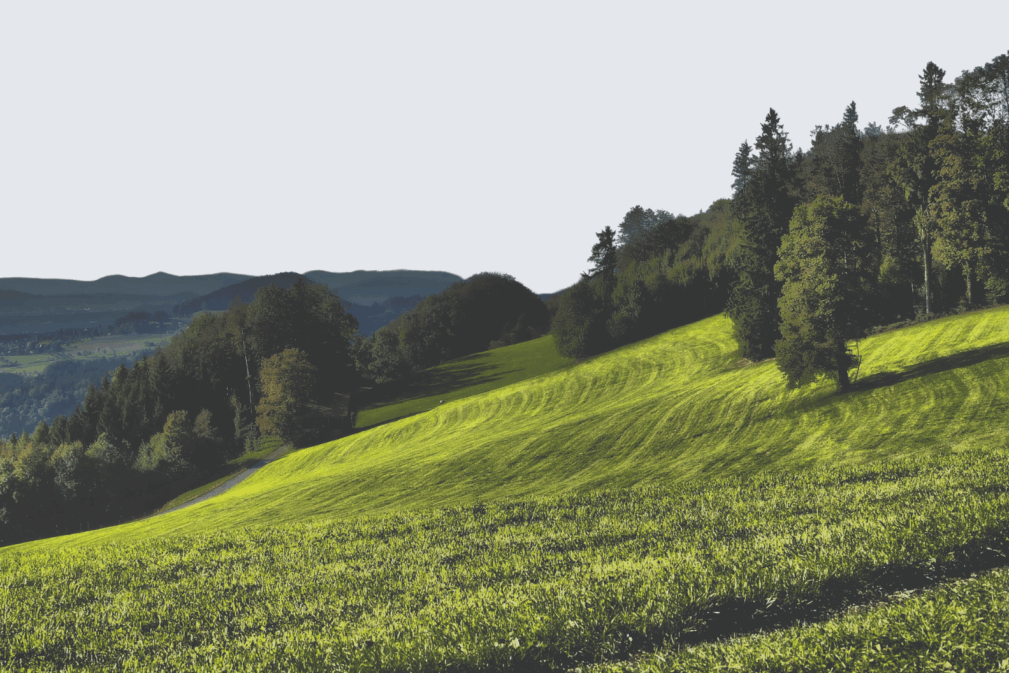 Ökum. Alpgottesdienst Alp Wimpfel