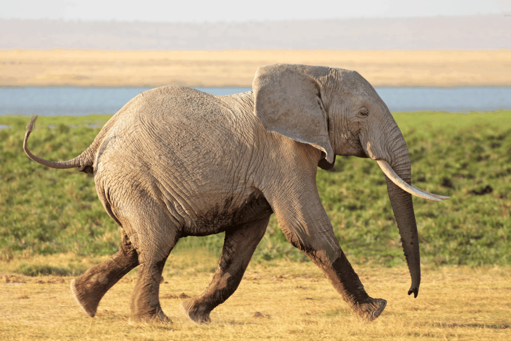 Frauengemeinschaft Oberhelfenschwil – Halbtagesausflug