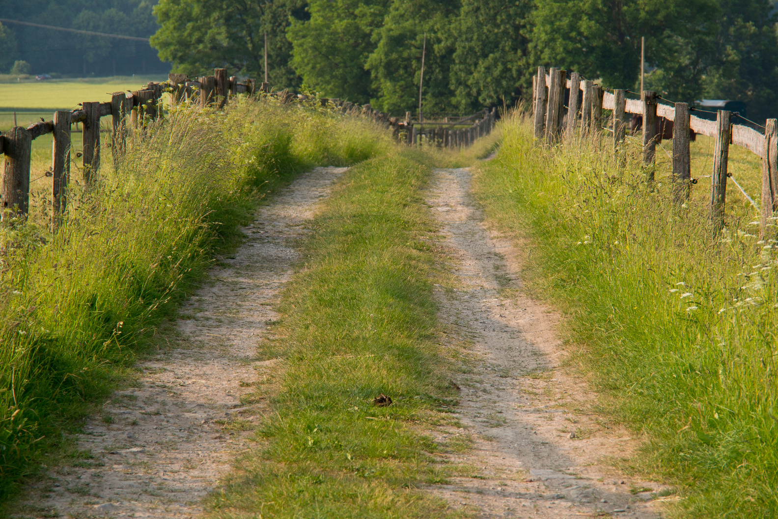 Ökumenischer Osterweg